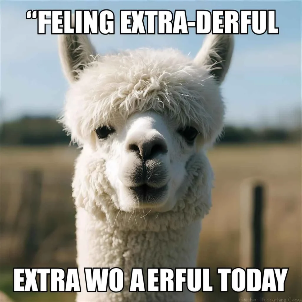 Alpaca Puns 