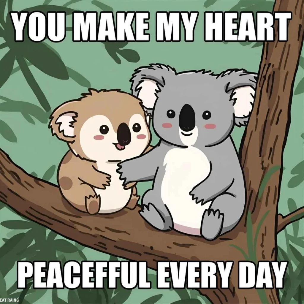 Koala Puns