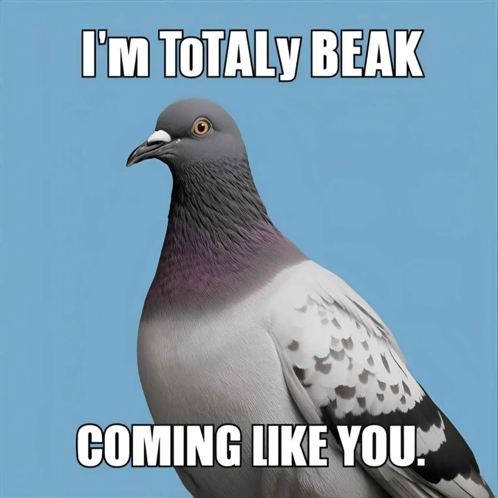 pigeon-puns