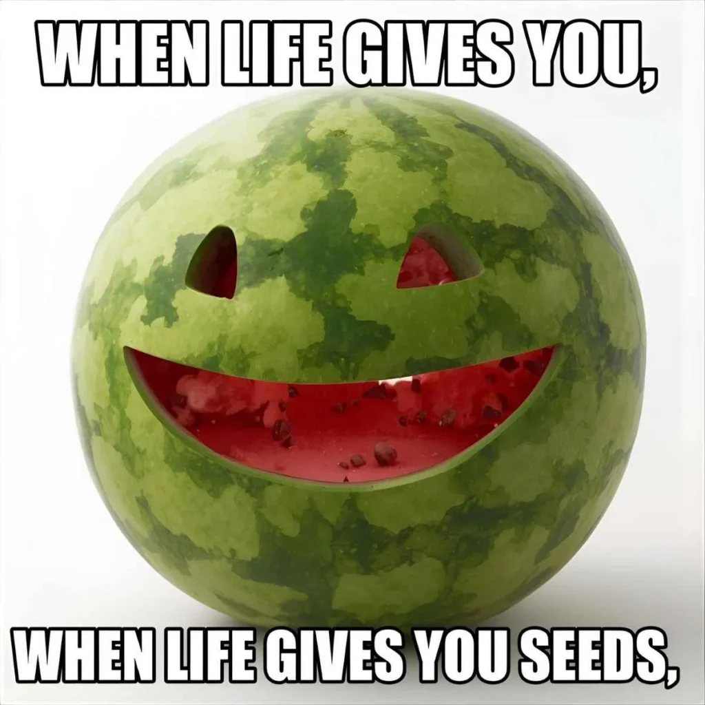 watermelon-puns