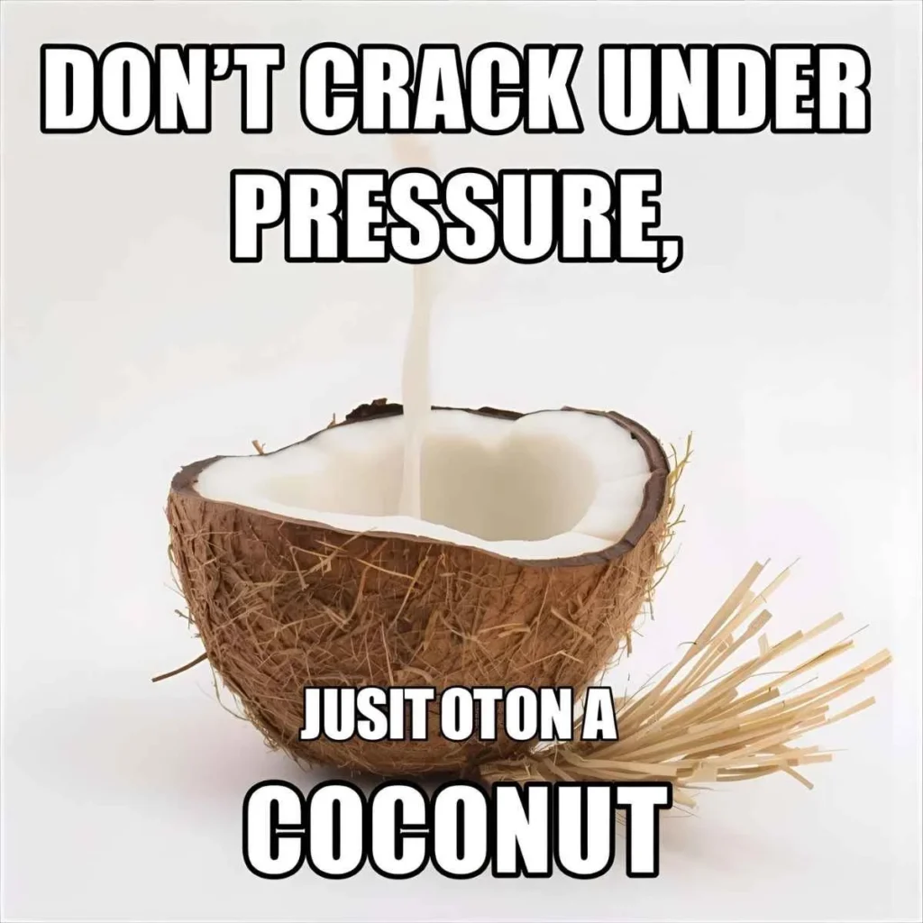 Coconut Puns