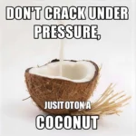 Coconut Puns
