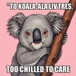 Koala Puns